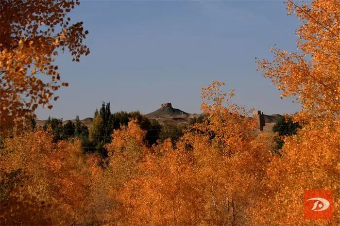 黄河三峡 秋景如画