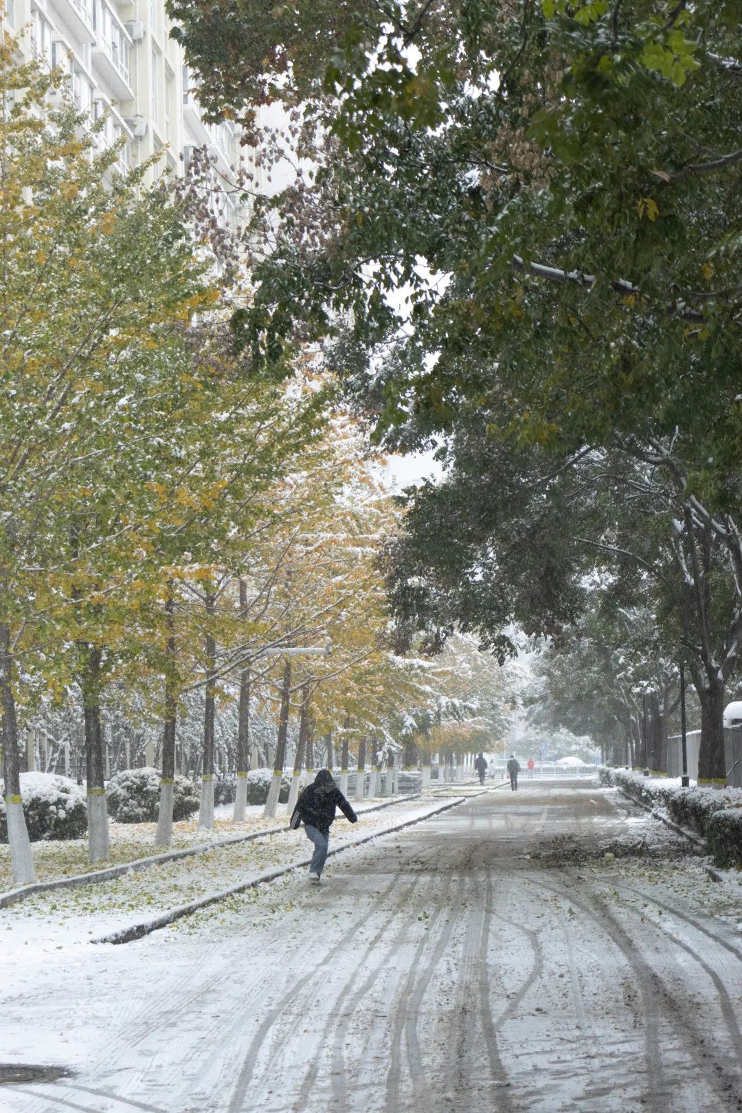 吉林长春迎初雪