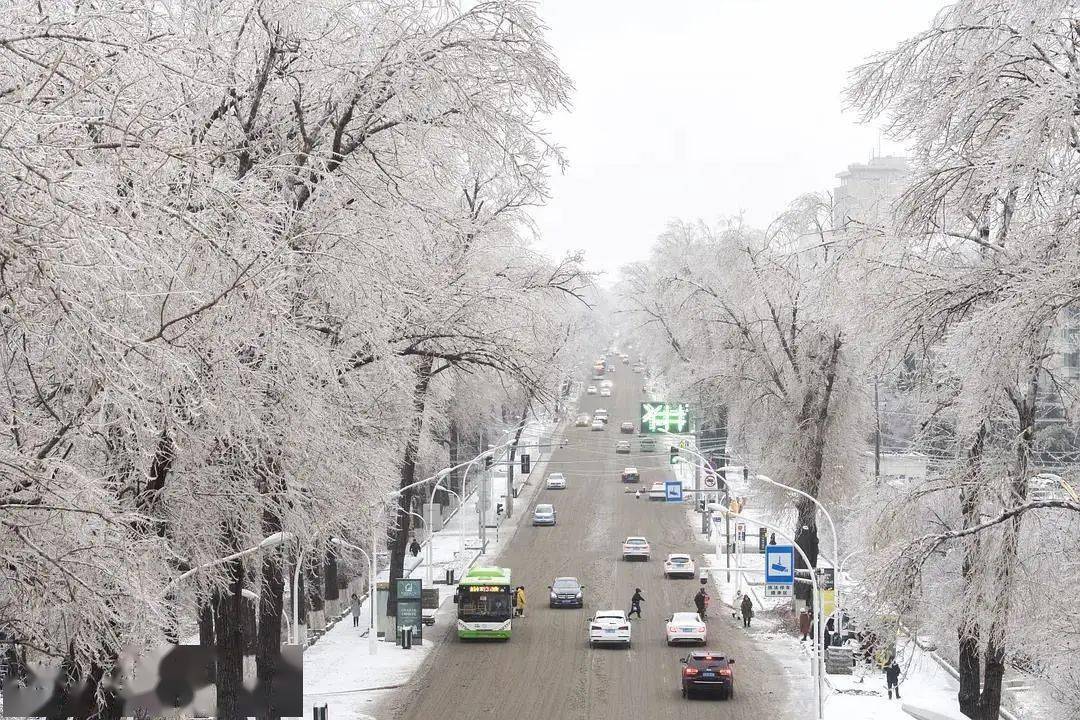 吉林长春迎初雪