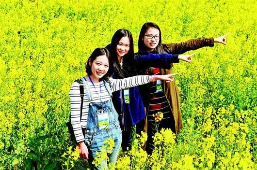 “赏花”搜索热度涨330% 各地推丰富赏花活动
