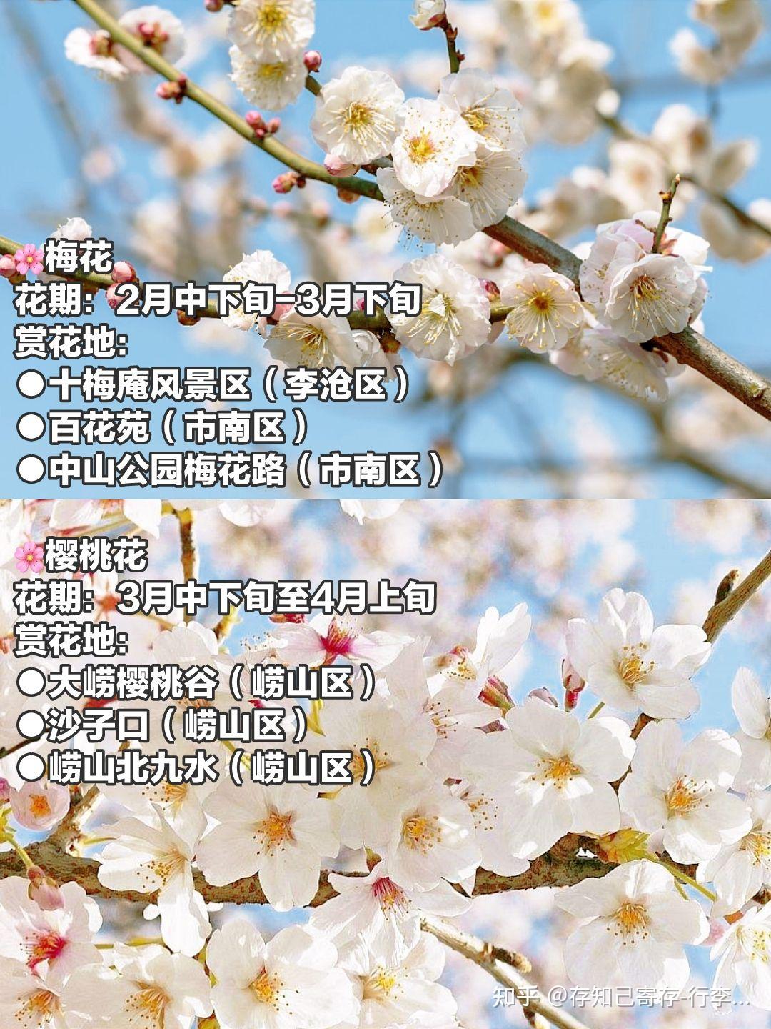 春天去哪儿看花？这份全国春日赏花地图带你找找灵感