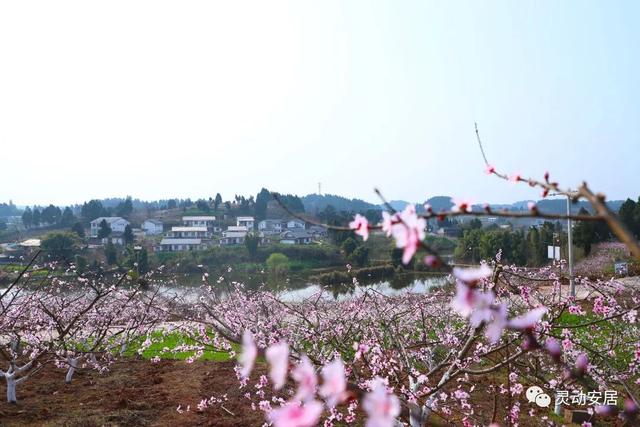 打造“乡村文化旅游季”之旅
