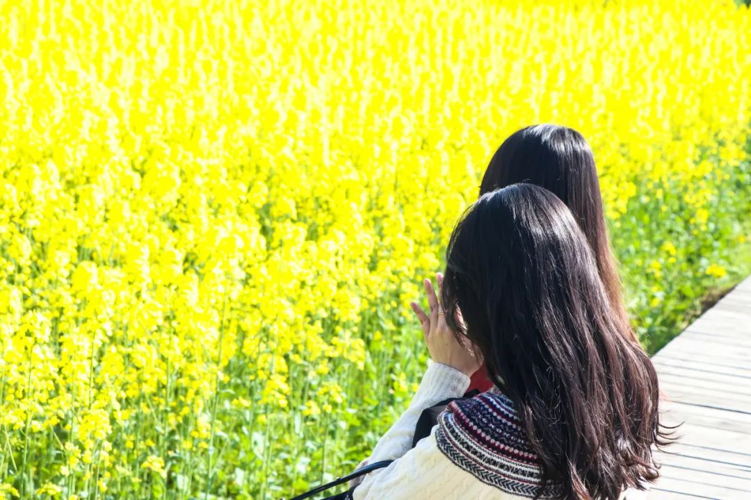 浙江诸暨：万亩花田扮靓美丽乡村