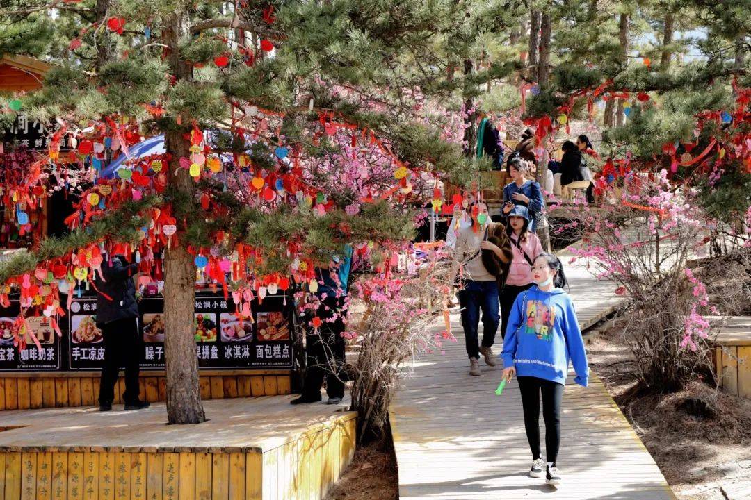 【大美中国】游园