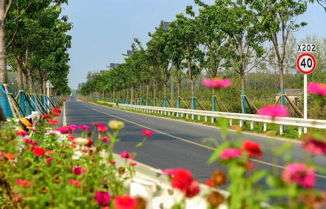 北京市“美丽乡村路”已超1000公里