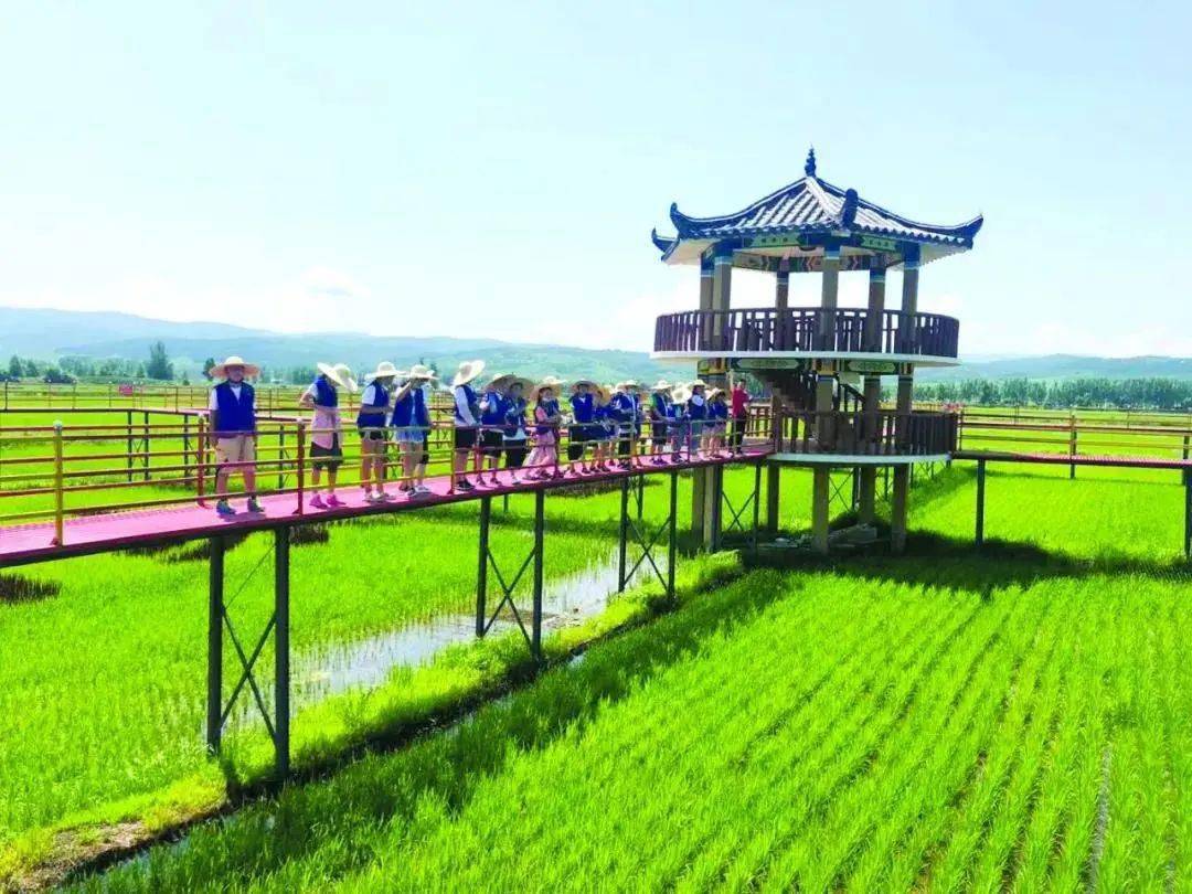 民俗游 自驾游 避暑游 踏上轻松惬意的端午之旅