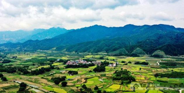 夏日乡村美景引游人