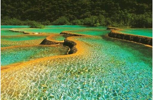 横琴口岸成“暑期热门”地 本月出入境旅客约113万人次