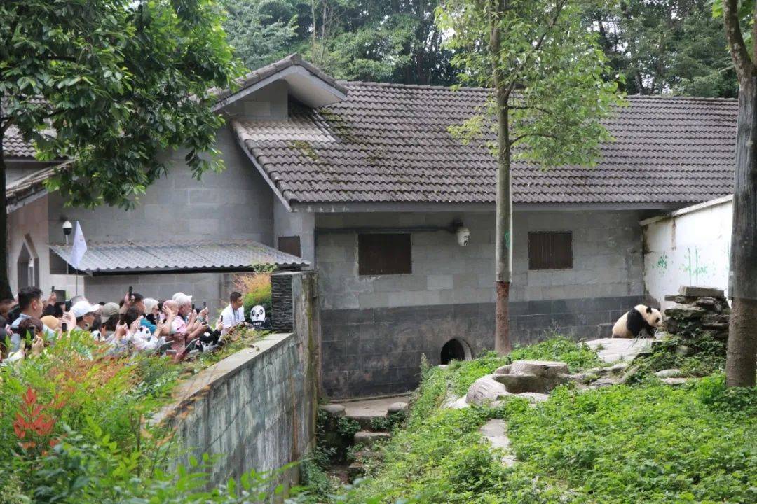 陕西百家旅行商大型自驾踩线活动在铜川举行