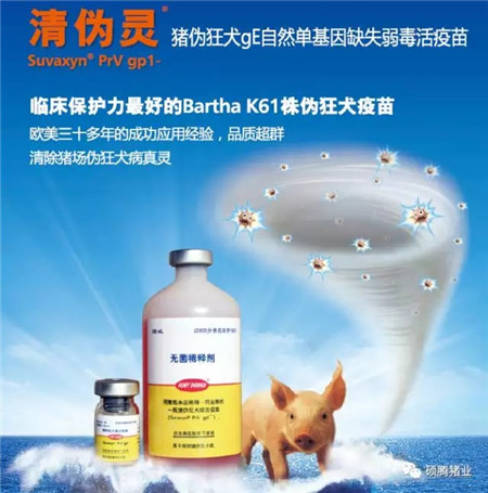 狂犬病病毒中和抗体检测，我们的保护盾——它有多重要？