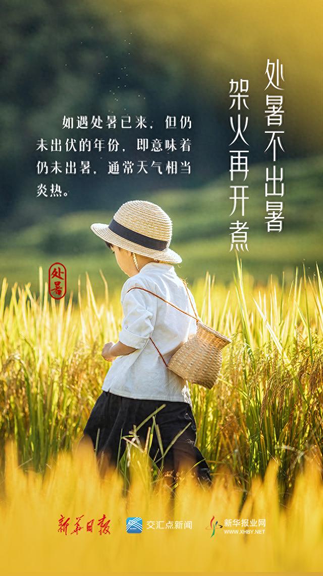 立秋之后｜迎接秋凉的处暑时节