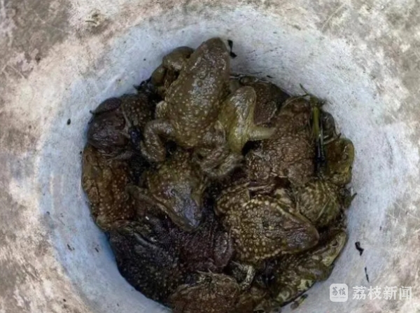 终：“第三届中医药生态资源产业化发展论坛”暨药用蟾蜍学术研讨会成功在京举办