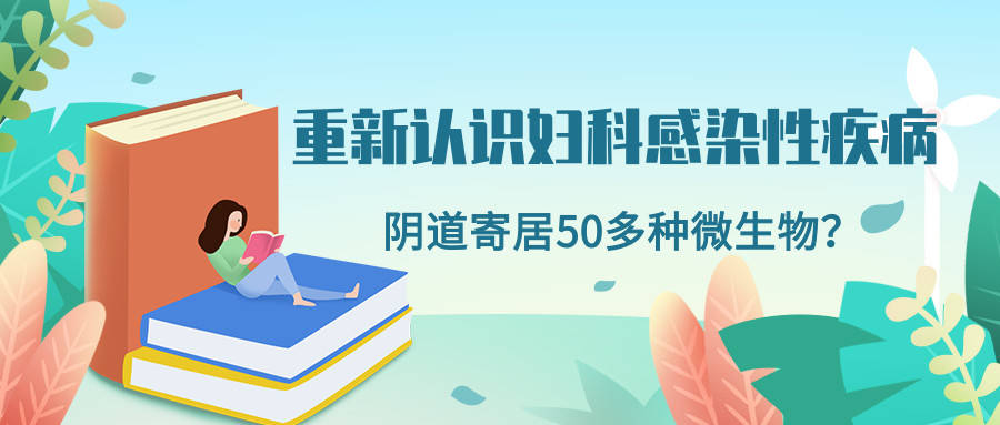 阴道微生态：女性健康的守护者