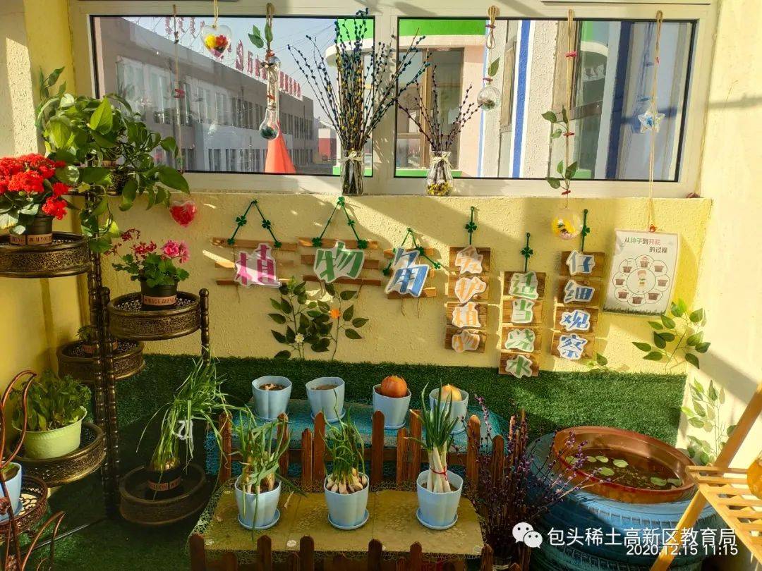 打造乡镇一流幼儿园 谱写椑木幼教新篇章