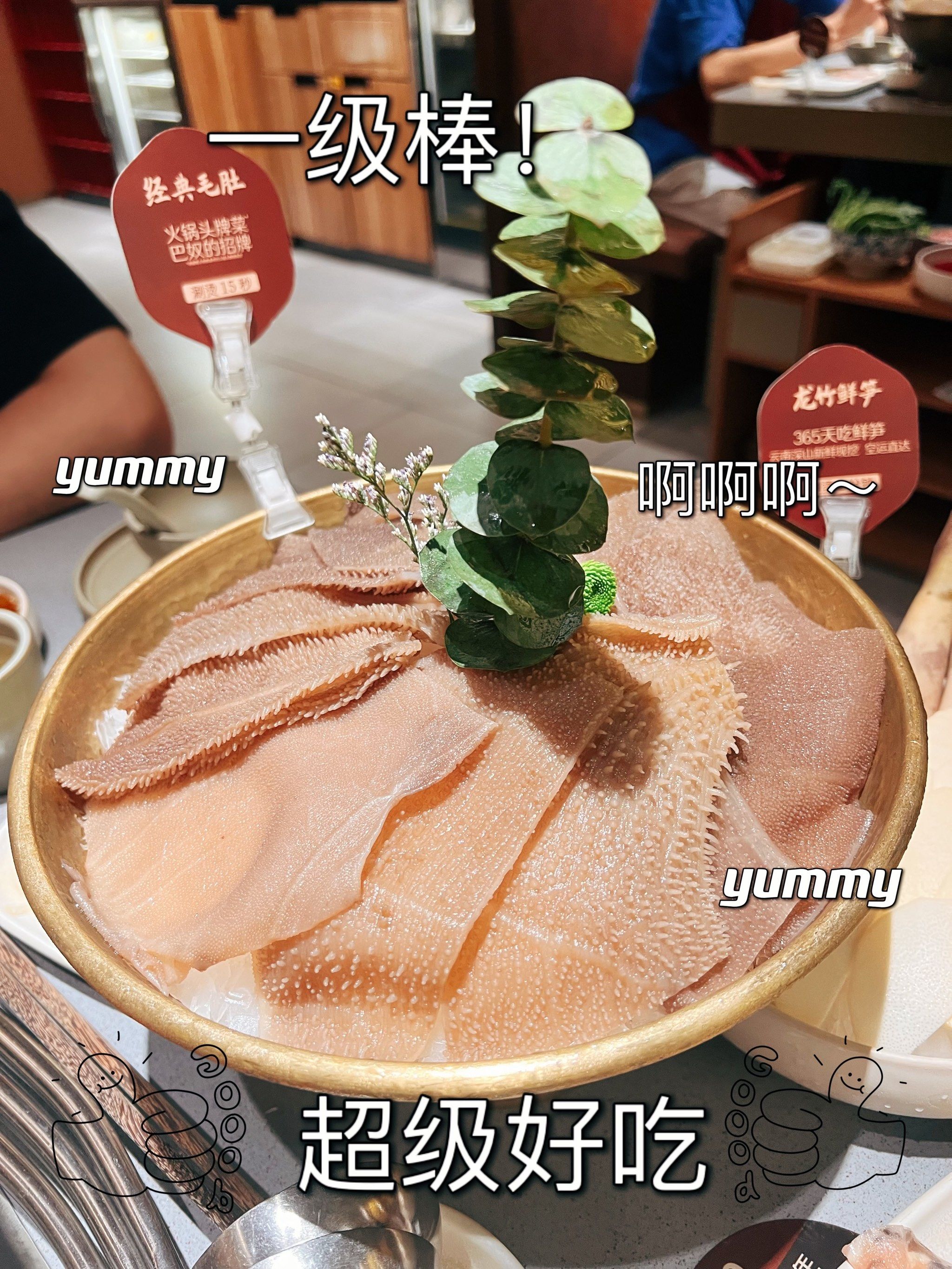 换季拉肚子？ BCM百亿活性益生菌帮助兔兔更好解决肠胃问题
