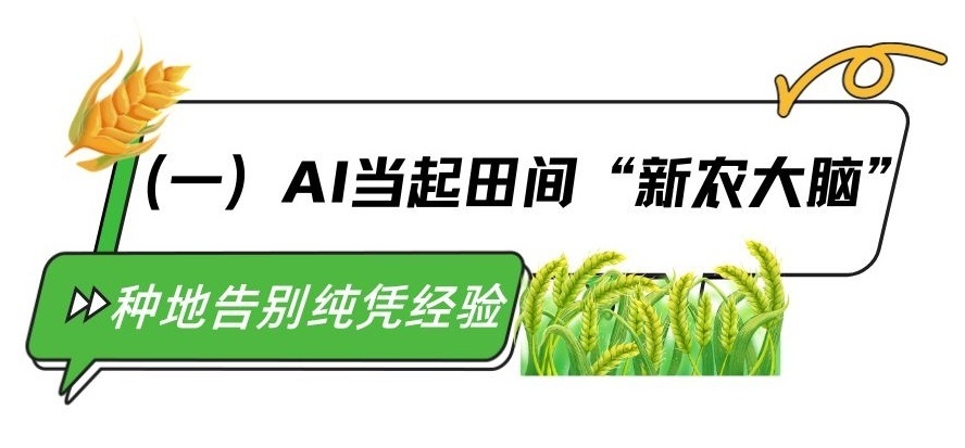 从凭经验到“慧”种田 广西蔗田里算出产业“甜账本”