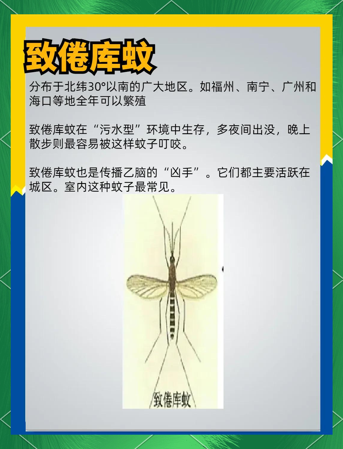 唠“科”话丨为啥蚊子总叮你?“招蚊”跟血型相关?