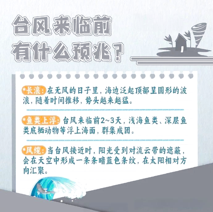 台风来了，应该如何应对？